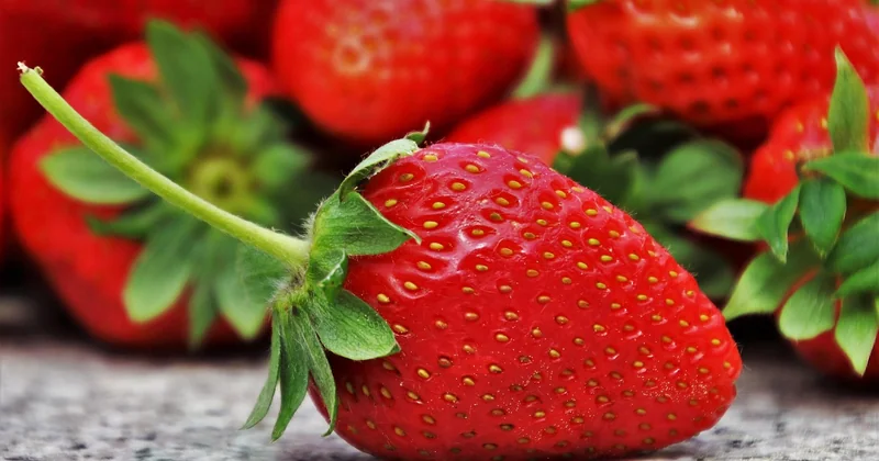What are 10 healthy eating habits?